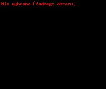 nissan_note_8_20161015_1657845996